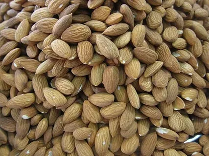 معرفی بادام درختی کهنه + بهترین قیمت خرید